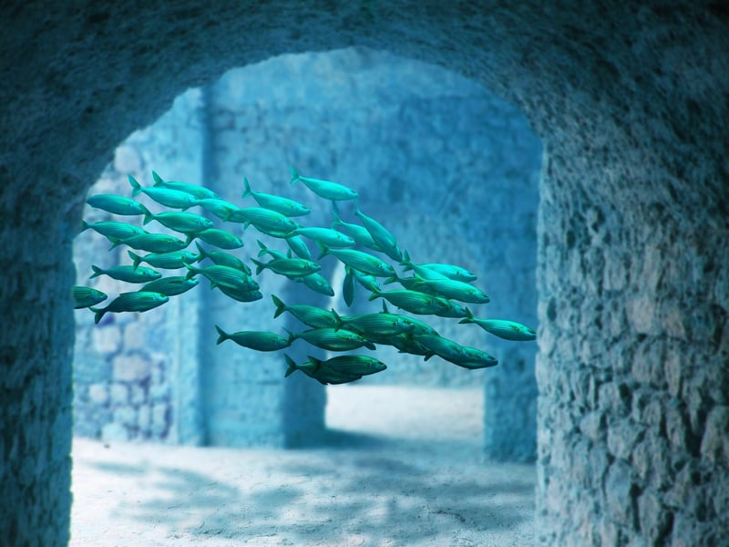 Crystal City of Atlantis